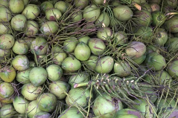 Cocos Frescos Mercado Comida Tailandesa — Fotografia de Stock