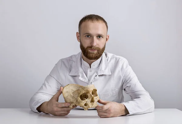 年轻的医生用头骨在他的手 白大衣生物学家肖像 — 图库照片