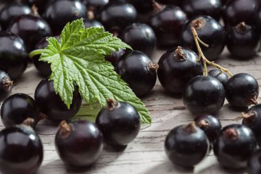 Yaprak sapı ile ahşap masa üzerinde Siyah frenk üzümü