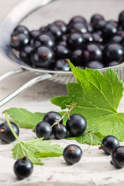 Kevgir yakın çekim içinde siyah frenk üzümü meyveler. Tablo siyah frenk üzümü yakın çekim. Arka plan siyah frenk üzümü çilek.