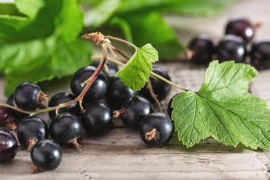 Eski ahşap masada yaprakları ile siyah frenk üzümü Sprigs. Yazın böğürtlen. Yakın çekim, kopyalama alanı.