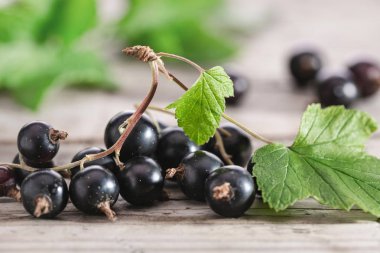  Eski ahşap bir yüzey üzerinde yaprakları ile olgun siyah frenk üzümü. Yazın böğürtlen. Yakın çekim, kopyalama alanı.