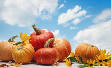 Sonbahar kabakları ve bulutlar ile mavi gökyüzü nün arka planda sarı çiçekler. Kopya alanı, cadılar bayramı tasarımı.