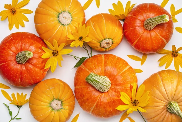 October Background Pumpkins Yellow Flowers White View — Stock Photo, Image