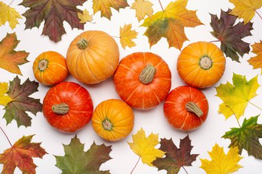  Akçaağaç yaprakları ve olgun balkabaklarıyla sonbahar arkaplanı. Mevsimlik tekliflerin planı ve tatil kartları, üst görünüm.