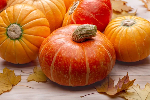 Herfst Warme Achtergrond Met Droge Bladeren Rijpe Pompoenen Indeling Voor — Stockfoto