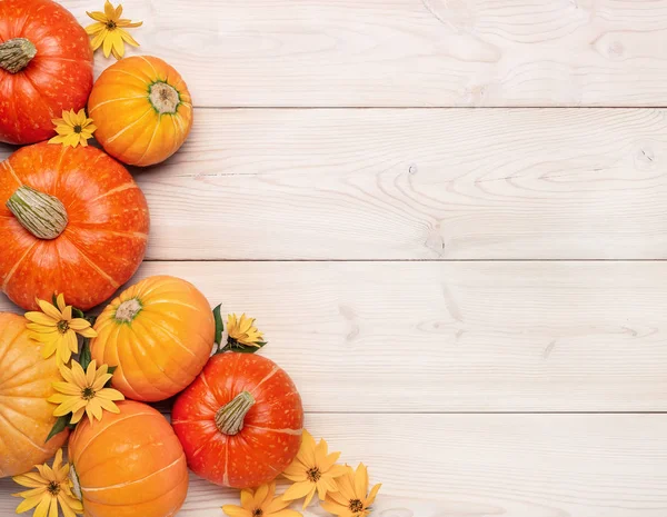 Fondo Festivo Con Zucche Fiori Gialli Una Superficie Legno Chiaro — Foto Stock