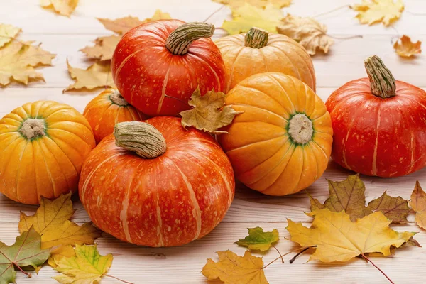 Herfst Warme Achtergrond Met Droge Bladeren Rijpe Pompoenen Indeling Voor — Stockfoto