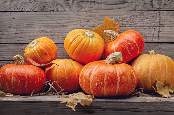 Citrouilles Rondes Jaunes Orange Mûres Feuilles Érable Sèches Sur Fond — Photo