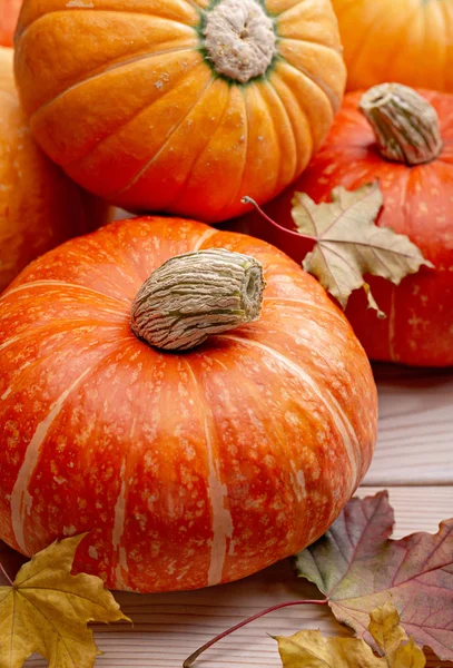 Rijp Ronde Gele Oranje Pompoenen Droge Esdoorn Bladeren Houten Oppervlak — Stockfoto