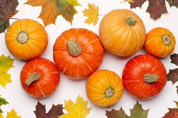 Laranja Madura Abóboras Redondas Folhas Secas Bordo Canadense Fundo Outono — Fotografia de Stock