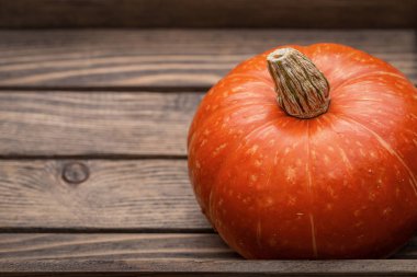 Koyu ahşap yüzeyde at kuyruklu turuncu yuvarlak balkabağı. Stüdyo çekimi. Sonbahar arkaplanı. Cadılar Bayramı