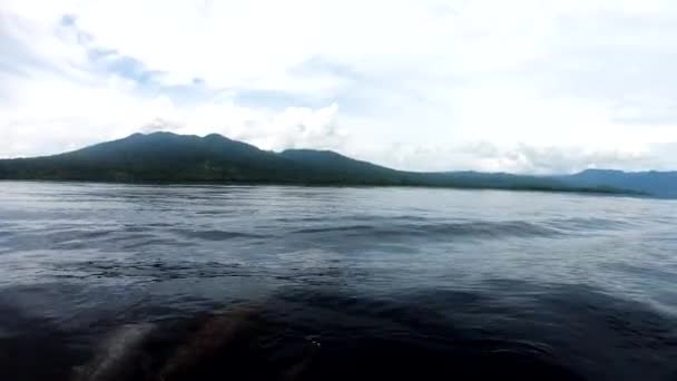 熱帯太平洋のスピナーイルカは 弓の波を再生し ジャンプし サーフィンするボートに参加 — ストック動画