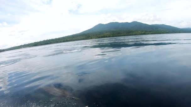 热带太平洋的旋转海豚加入小船玩 跳跃和冲浪的船头波 — 图库视频影像