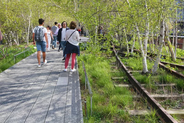 New York Usa May 2018 Tiny Wood High Line — Stock Photo, Image