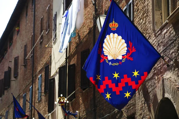 Σιένα Ιταλία Ιουλίου 2018 Σημαία Της Contrada Nicchio Σιένα Ιταλία — Φωτογραφία Αρχείου