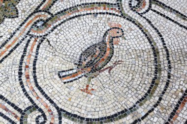 Ravenna, İtalya - 19 Eylül 2018: Kuş San Vitale bazilika antik mozaik