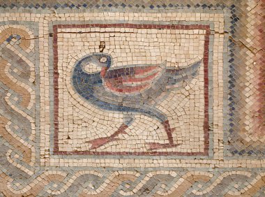 Nebo Dağı'nın antik Roma mozaiğine güzel kuş