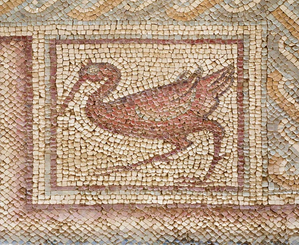 Ibis Antigo Mosaico Romano Monte Nebo Jordânia — Fotografia de Stock