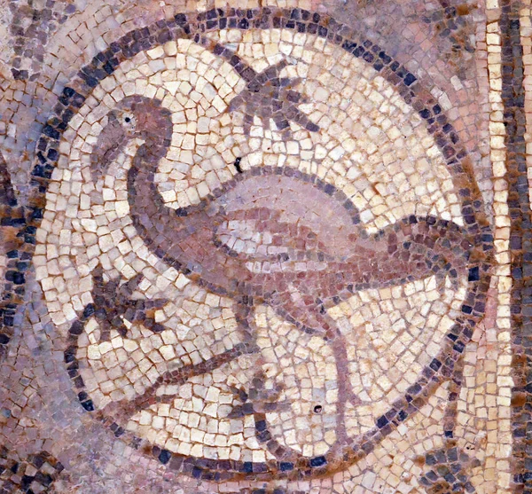 Ibis Ancient Mosaic Petra Jordan — Stock Photo, Image