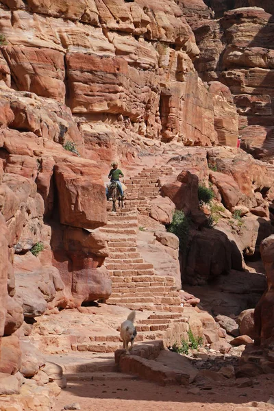 Petra Giordania Aprile 2019 Uomo Che Cavalca Asino Ripide Scale — Foto Stock