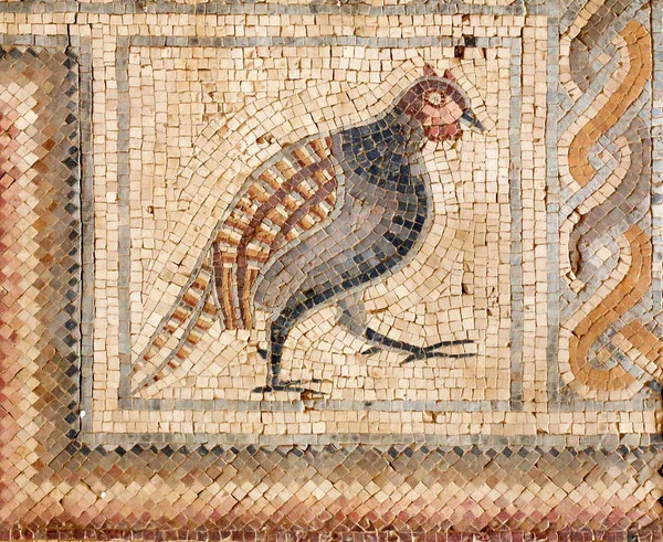 Fagiano Nell Antico Mosaico Romano Del Monte Nebo Giordania — Foto Stock