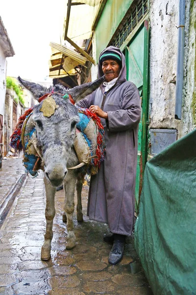 Fez Marokko Februar 2013 Mann Und Esel Der Gasse Von — Stockfoto