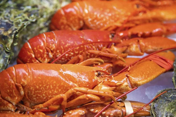 Lobsters Sale Norwegian Fish Market — Stock Photo, Image