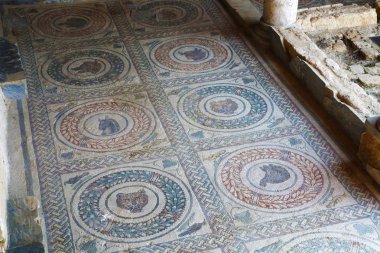 Eski Roma mozaiği, Sicilya'da farklı hayvanlar. Villa del Casale'den: Piazza Armerina, Sicilya, İtalya.