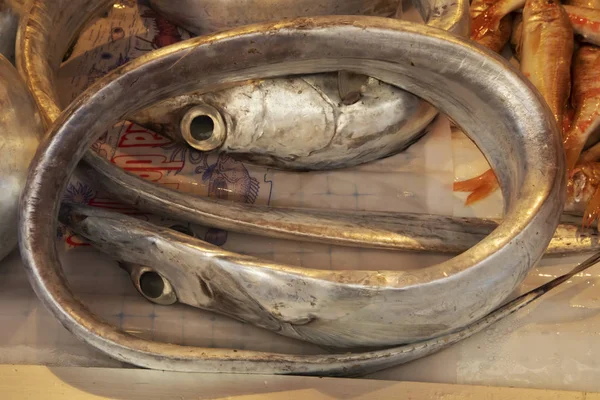 Odd Long Fish Sale Outdoor Sicilian Market — Stock Photo, Image