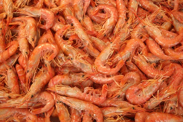 Shrimps Sale Sicilian Fish Market — Stock Photo, Image