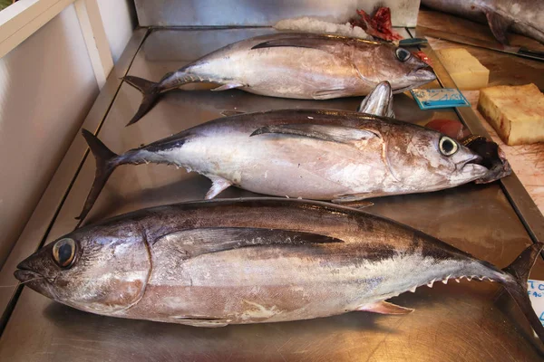 Three Tunas Sale Sicilian Outdoor Market — Stock Photo, Image