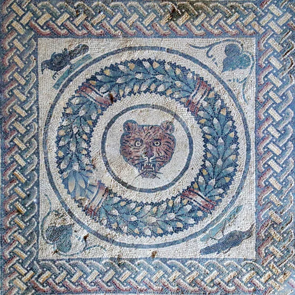 Cabeça Tigre Mosaico Romano Antigo Sicília — Fotografia de Stock