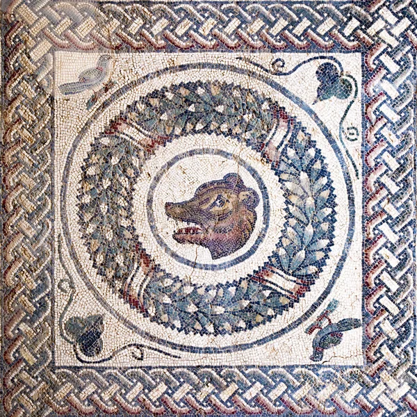 Cabeça Urso Mosaico Romano Antigo Sicília — Fotografia de Stock