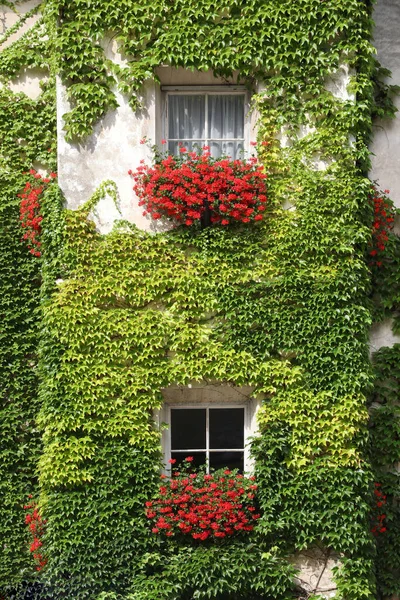 Exterior Uma Casa Gravada Com Flores Alpinistas Tirol Sul Itália — Fotografia de Stock