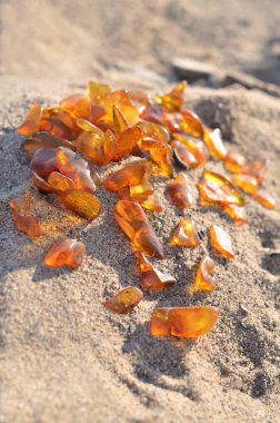 Kum üzerinde sarı Amber.