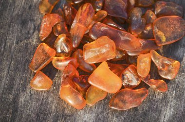 Sahilde sarı Amber.