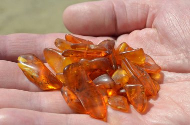 Elinizin palmiye üzerinde sarı Amber.