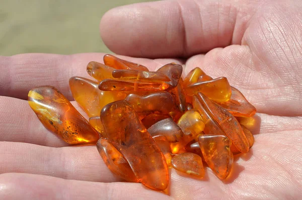 Elinizin palmiye üzerinde sarı Amber.