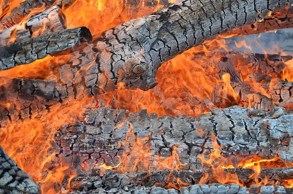 Odun yanan arka plan.