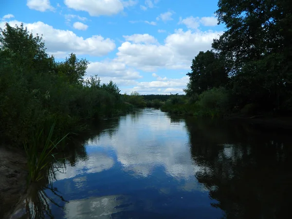 Nyugodt táj: kék ravasz fehér felhőkkel, tükröződik a folyóban, és sötétzöld erdő a folyókon — Stock Fotó