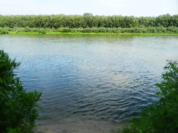 Широкая спокойная река, небольшой пляж на одном берегу и солнечный лес на другом — стоковое фото