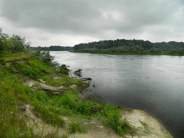 Nyugodt folyó, egy füves part és erdő a túloldalon, leereszkedő felhőkkel borítva — Stock Fotó