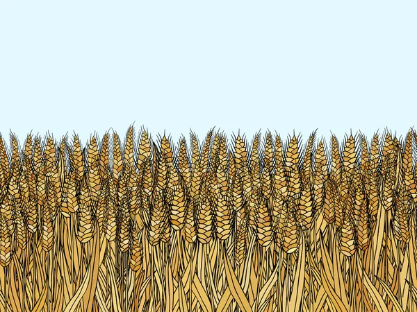 Dibujos animados garabato trigo patrón sin costura — Vector de stock