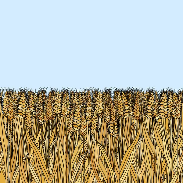 Abstract vector cartoon doodle wheat seamless pattern — ストックベクタ