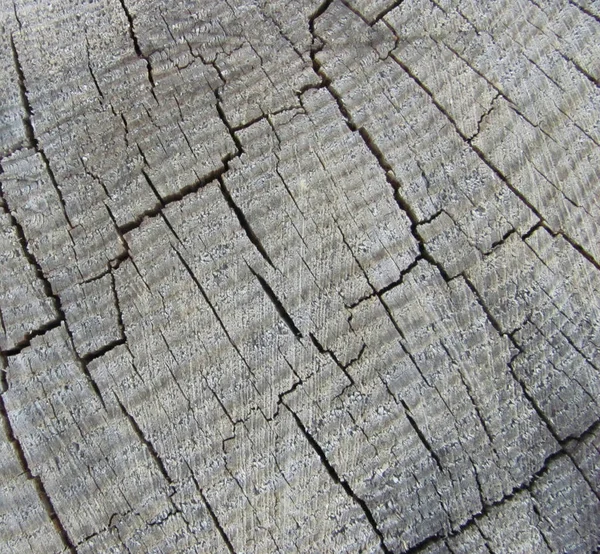 Textura de madeira cinza weathered velho — Fotografia de Stock