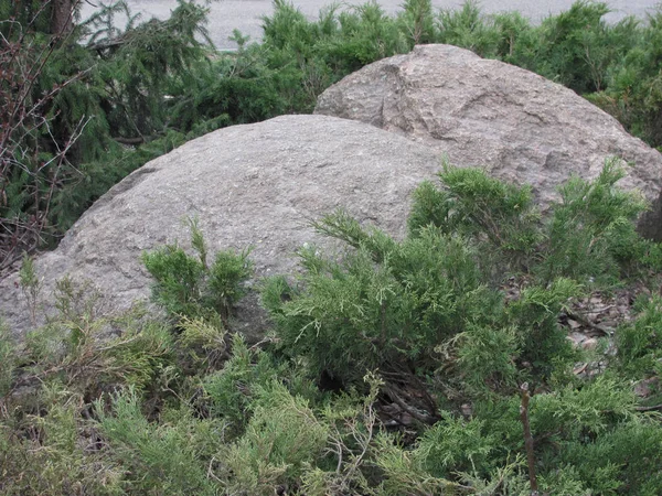 Piedra de granito gris roca grande — Foto de Stock