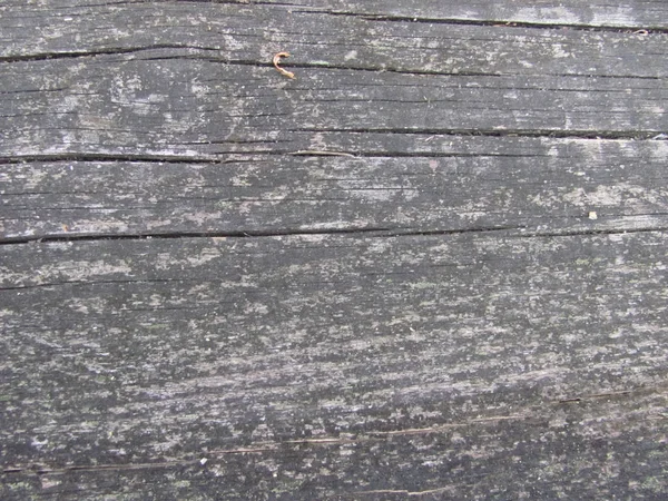 Stará, ošlehané šedé dřevo — Stock fotografie