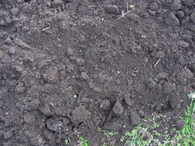 toprak doku arka plan