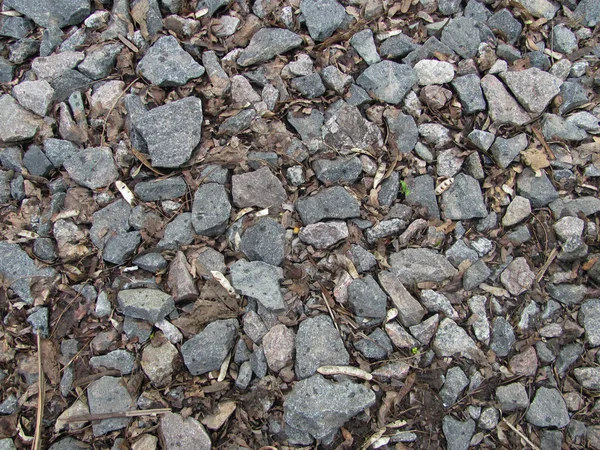 Gray gravel with brown dry leaves background — Stock Photo, Image